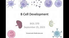 Immunology Fall 2023: Lecture 11 B Cell Development