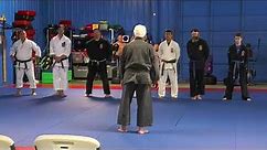 Isshinryu Karate Seminar