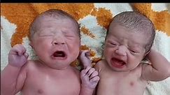 Cute Twin Newborn Babies timelapse until one Year