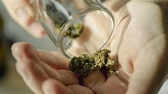 Justice Department moving to reclassify marijuana as less dangerous drug