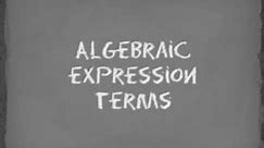 Math Terms of Algebraic Expression