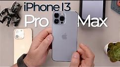 What's Changed In The Apple iPhone 13 Pro and Pro Max