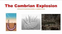 Life In The Cambrian