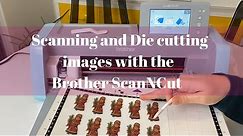 Scanning and cutting images with the Brother ScanNCut DX tutorial