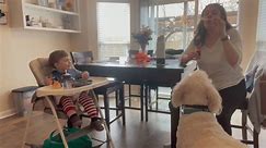 Dog and Baby Enjoy 'Bubbles and Belly Laughs'