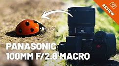 Review du Panasonic Lumix S 100mm F/2.8 Macro – Obtenez la plus petite image, mais en grand !