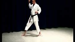 Bassai Dai Shotokan Karate Kata