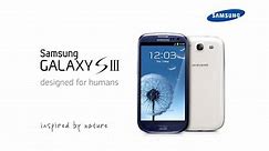 Samsung Galaxy SIII Display Video