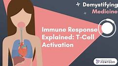 Immune Response Explained: T-Cell Activation