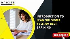 Introduction to Lean Six Sigma Yellow Belt Training | Anexas