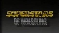 WWF Superstars Of Wrestling - June 3, 1989