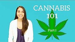 Cannabis 101: Part One!