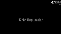 3D视频详解DNA复制全过程