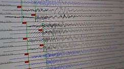 Scientists monitor quakes for signs of something larger