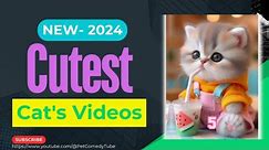 Baby Cats - Cute and Funny Cat Video Compilation # 02 | Pets Comedy