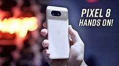 Pixel 8/8 Pro Hands-On! | EVERYTHING New!