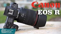 Canon EOS R Mirrorless Digital Camera 24-105mm Lens w/Advanced Photo Travel Bundle| Review