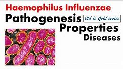 Haemophilus influenzae Microbiology | pathogenesis, Culture, lab diagnosis