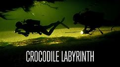 Crocodile Labyrinth