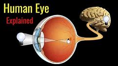 The Human Eye ! Explained