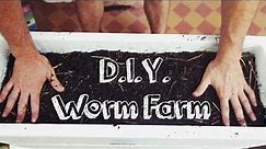 DIY Worm Farm