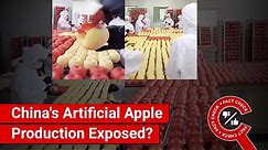 FACT CHECK: Artificial Apples Produced in China Sold as Real Fruit?