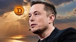 If You Invested $100 When Elon Musk First Tweeted About Dogecoin, Here's How Much You'd Have Now - Tesla (NASDAQ:TSLA)