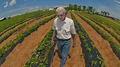J.D. Scott, owner of Scott's Strawberry Farm in Bedford County, dies