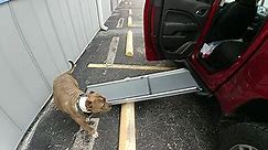 PetSafe Happy Ride Telescoping Dog Ramp Extends from 39-71 Inches No Slip High Traction Surface Collapsible and Locking for Easy Storage For Trucks, SUVs, and Cars Weighs Only 13 Pounds