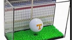 Better Display Cases Clear Acrylic Double Golf Ball Display Case with Black Back and Turf Floor (A045A-TB)