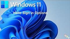 How to Setup Windows Hello Sign-in Options in Windows 11