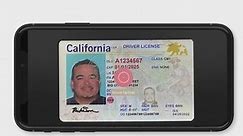 California DMV expands digital driver's license program: How to sign up
