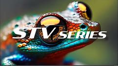 Introducing the STV Series