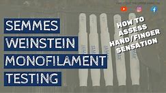 How to Administer the Semmes Weinstein Monofilament Test