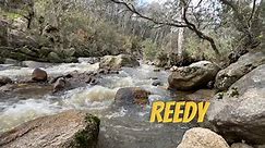 Reedy Creek successful gold panning