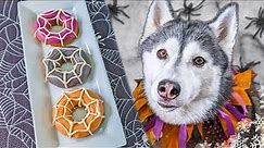 Spooky Spiderweb Donut Dog Treats 🕸️DIY Halloween Dog Treats