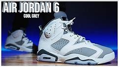 Air Jordan 6 Cool Grey