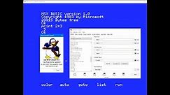 MSX Emulator: openMSX