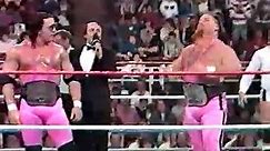 WWF Superstars 03 28 1987