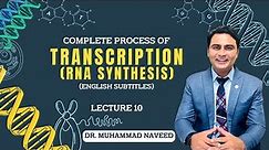Transcription | RNA Synthesis | DNA to RNA complete process | Lecture 10 | Dr. Muhammad Naveed