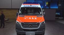 Mercedes-Benz Sprinter 319 CDI 4x4 Ambulance (2019) Exterior and Interior