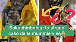 Sokushinbutsu: lo strano caso delle mummie vive😱 #curiosità