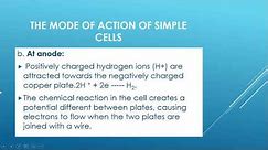 Meaning Of A Simple Cell / Dry Cell & The Mode Of Action Of The Simple Cell