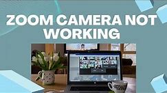 How To Fix Zoom Camera Not Working