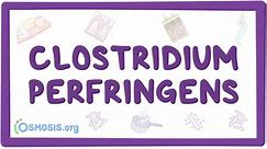 Clostridium perfringens: Vídeo, Anatomía & Definición | Osmosis