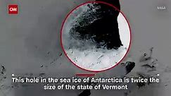 Seals help scientists solve Antarctic mystery
