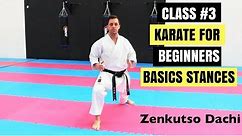 Martial Arts for Beginners – Lesson 3 / Basic Karate Cobra Kai - Strong Stances