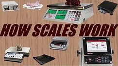 How Does a Digital Scale Work?