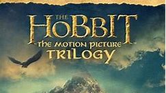 The Hobbit Extended Edition Trilogy: 3 Movie Collection plus bonus features (Bundle)
