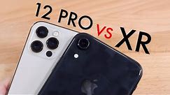 iPhone 12 Pro Vs iPhone XR CAMERA TEST! (Photo / Video Comparison)